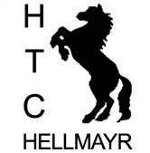 $data['details']['name']